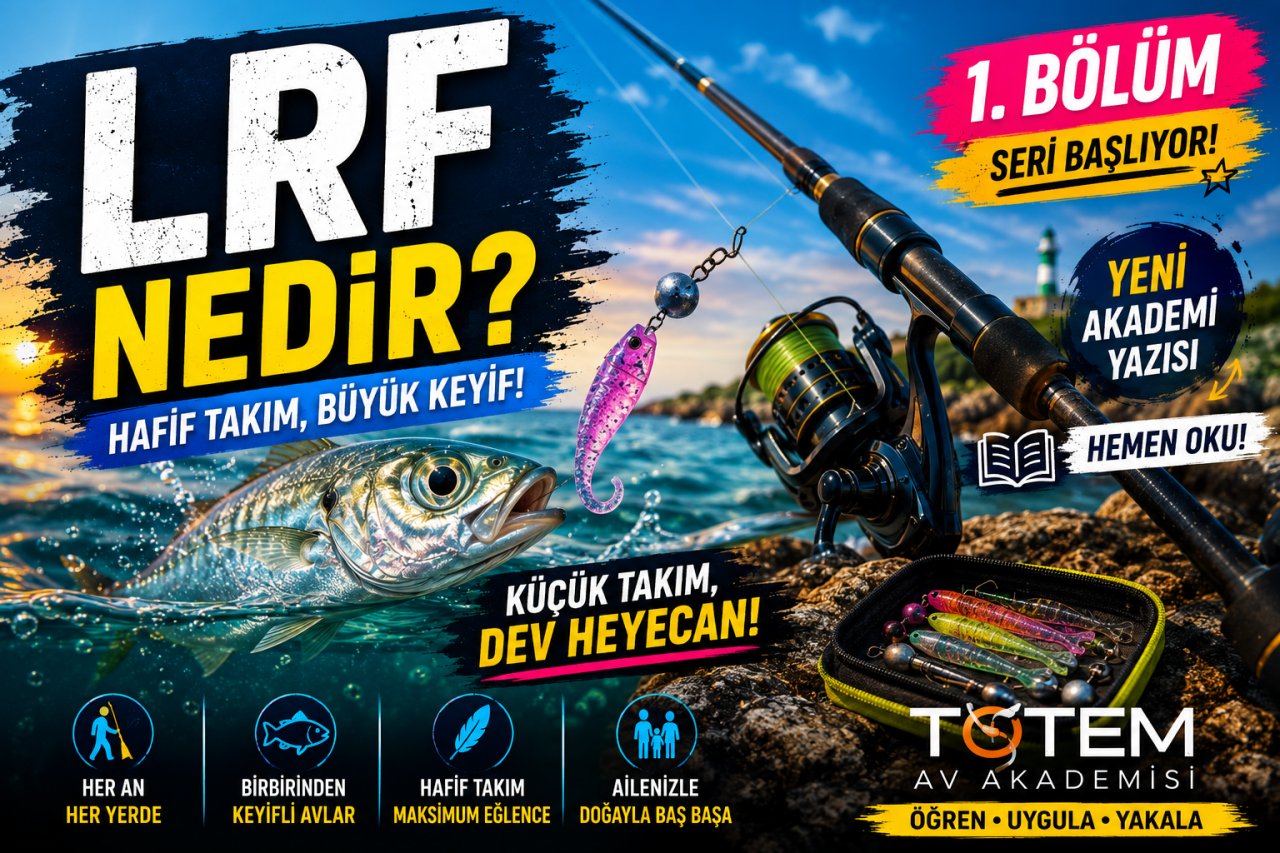 LRF Nedir? Yeni Başlayanlar İçin En Kapsamlı LRF Rehberi ( 1.BÖLÜM)