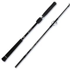 Fujin Valhalla Bigsea 178 cm 250 gr Speed Jig & Canlı Kamışı