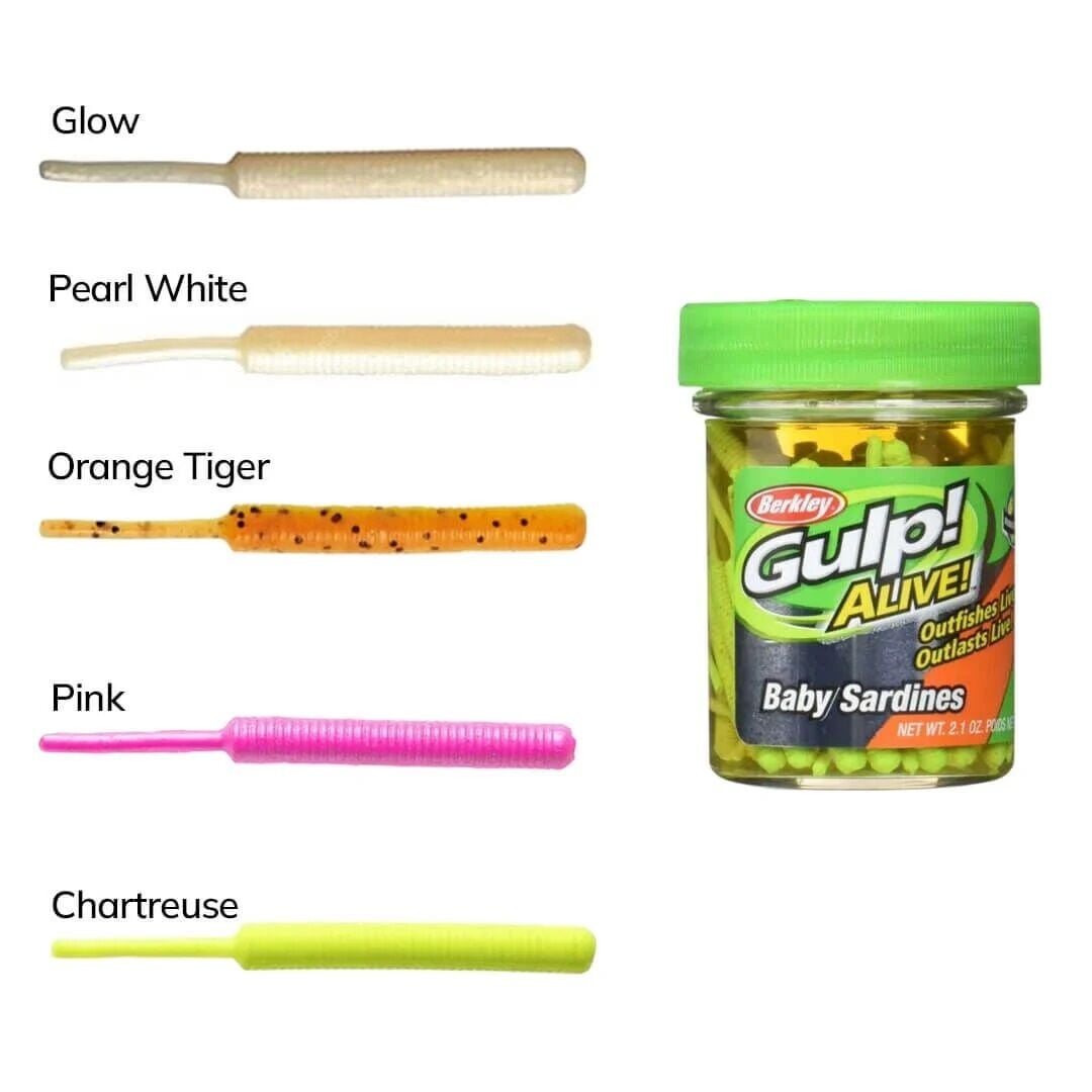 Berkley Gulp! Alive! Baby Sardine 4 cm 60 gr Kokulu LRF Silikon Yem | 32-36 Adet | 4 Renk Seçeneği