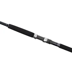 Shimano Currentsniper XR Shore Jigging Kamışı 3,05m 10'0'' 70g JIG90g 2pc