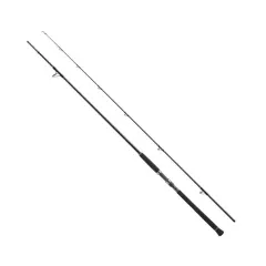 Shimano Currentsniper XR Shore Jigging Kamışı 3,05m 10'0'' 70g JIG90g 2pc